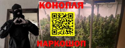 мяу мяу мука Кулебаки