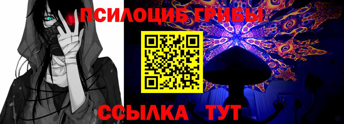 наркотики  Вход с VPN  Донской  Псилоцибиновые грибы мицелий 