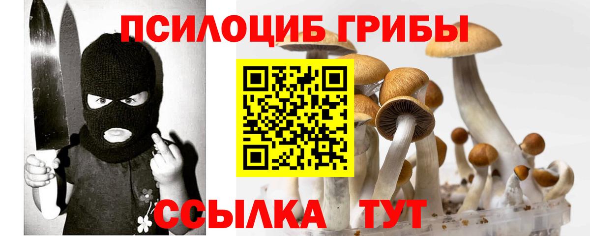 Галлюциногенные грибы MAGIC MUSHROOMS Донской
